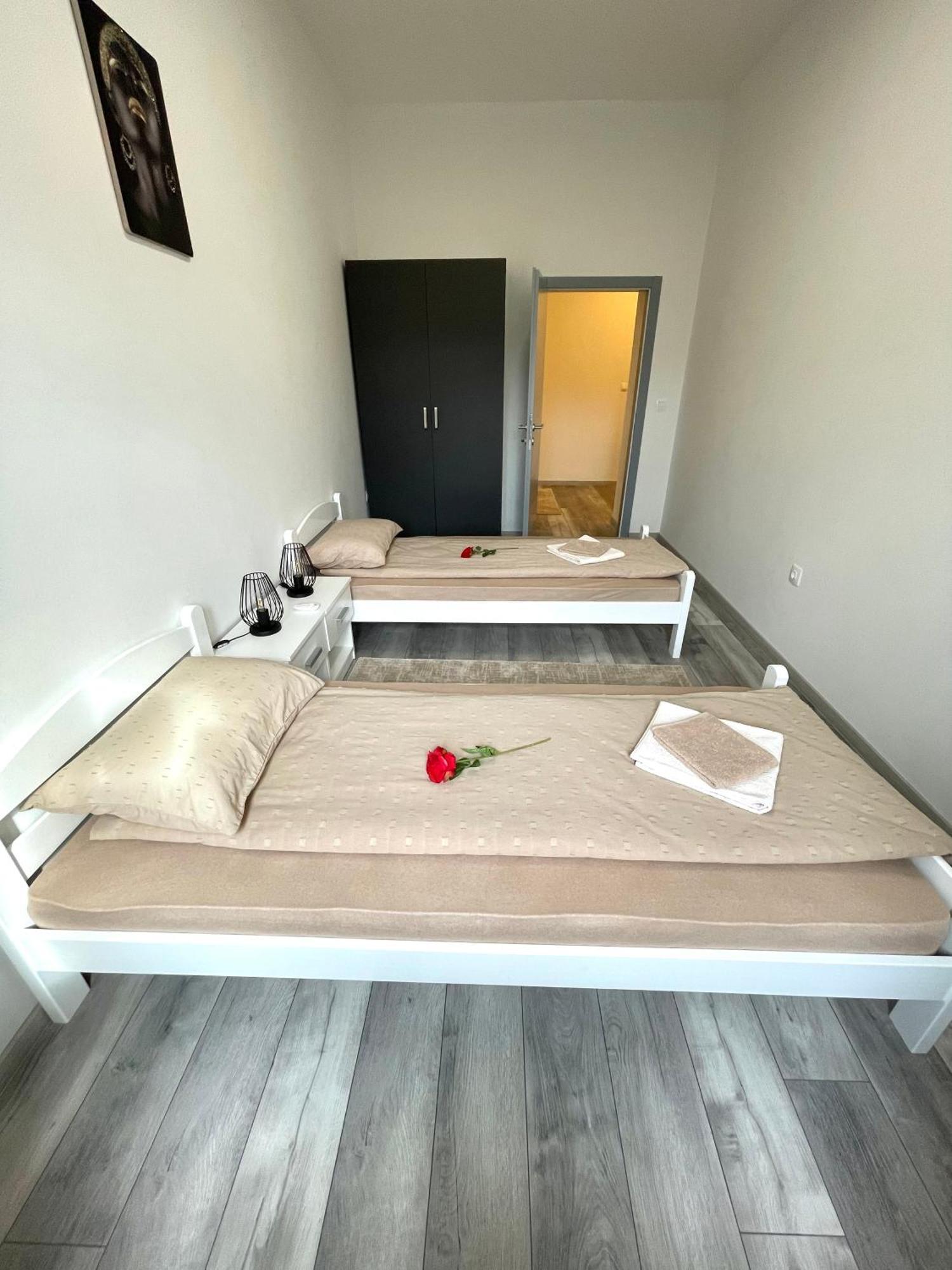 Big Family Apartment Mostar