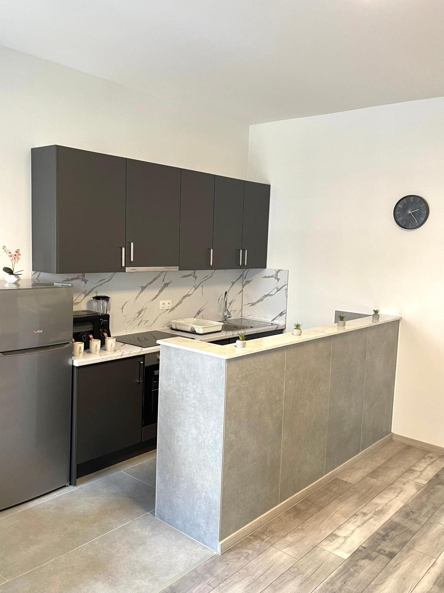 Big Family Apartment